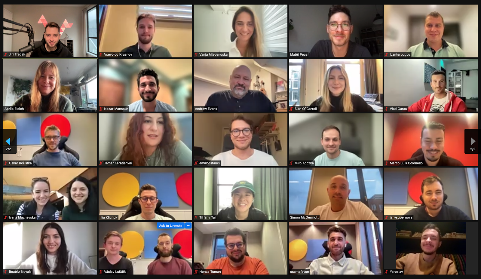 A zoom call screenshot with all the Supernova employees.